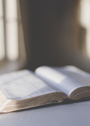 Methoden der Exegese