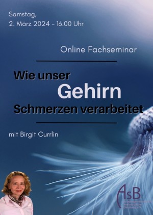 Wie unser Gehirn Schmerzen verarbeitet